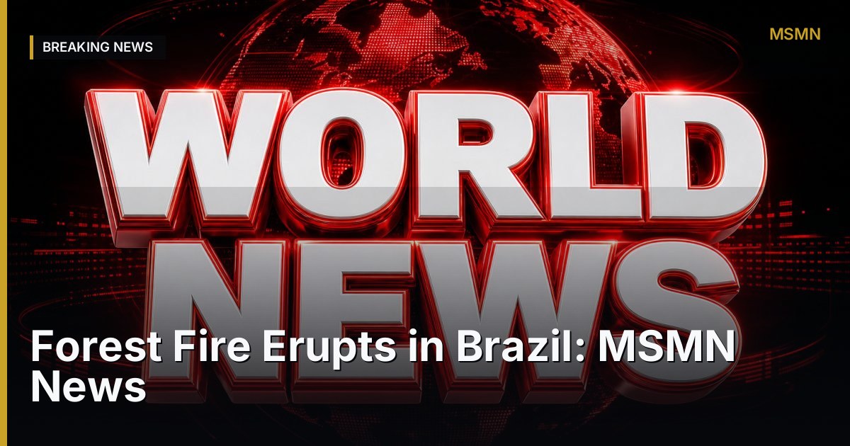 Forest Fire — Brazil — Open Graph