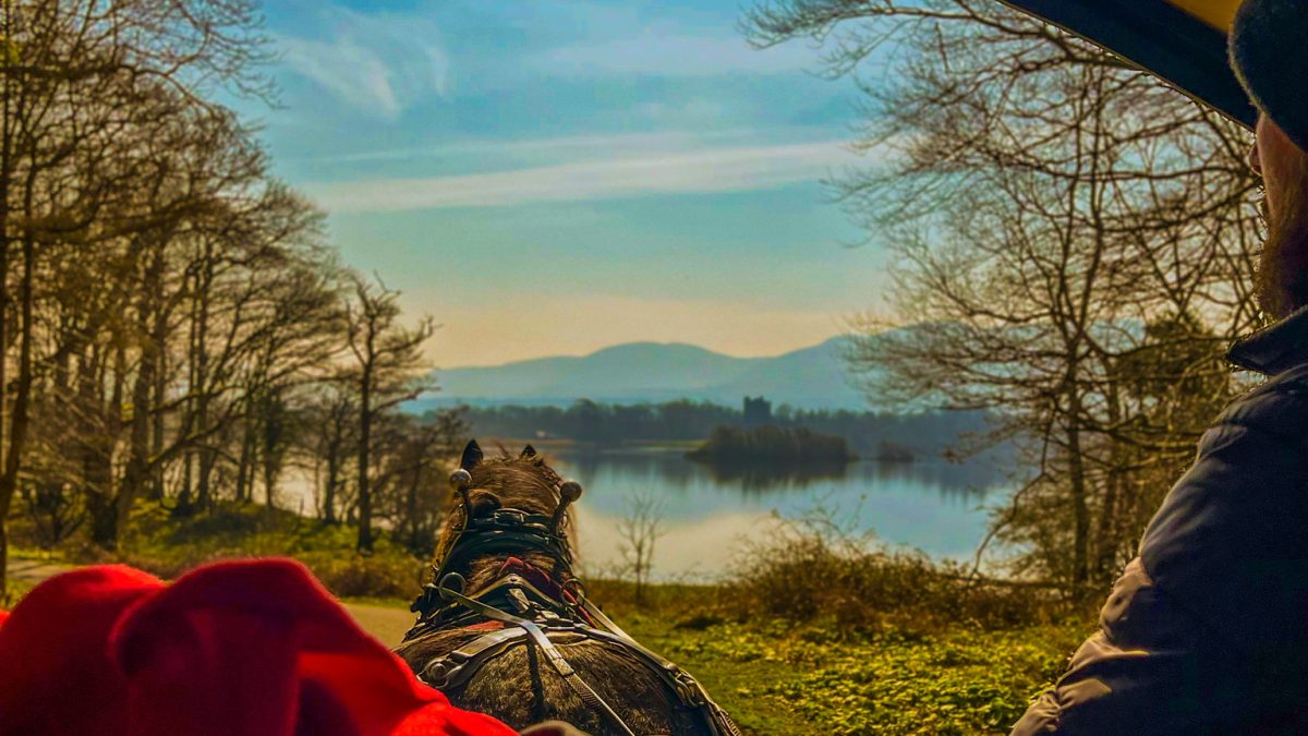This photo was taken during a Horse &amp; Carriage Tour in Killarney, Ireland.