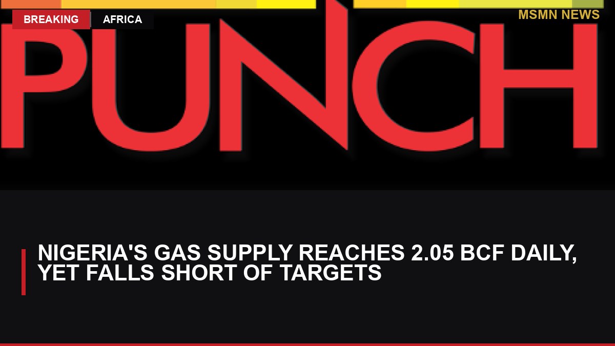 Nigeria's Gas Supply Reaches 2.05 Bcf Daily, Yet Falls Short of Targets: MSMN News — image from Punch Nigeria