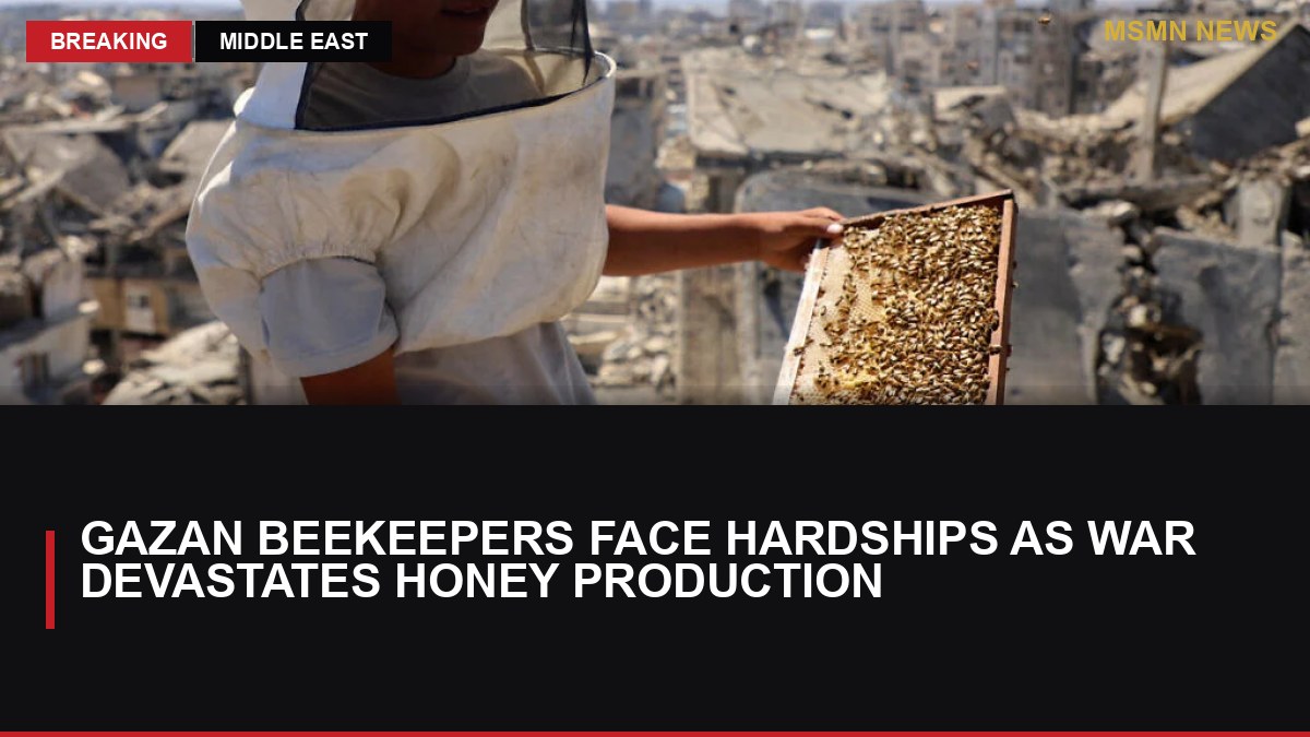 Gazan Beekeepers Face Hardships as War Devastates Honey Production: MSMN News — image from Times of Israel