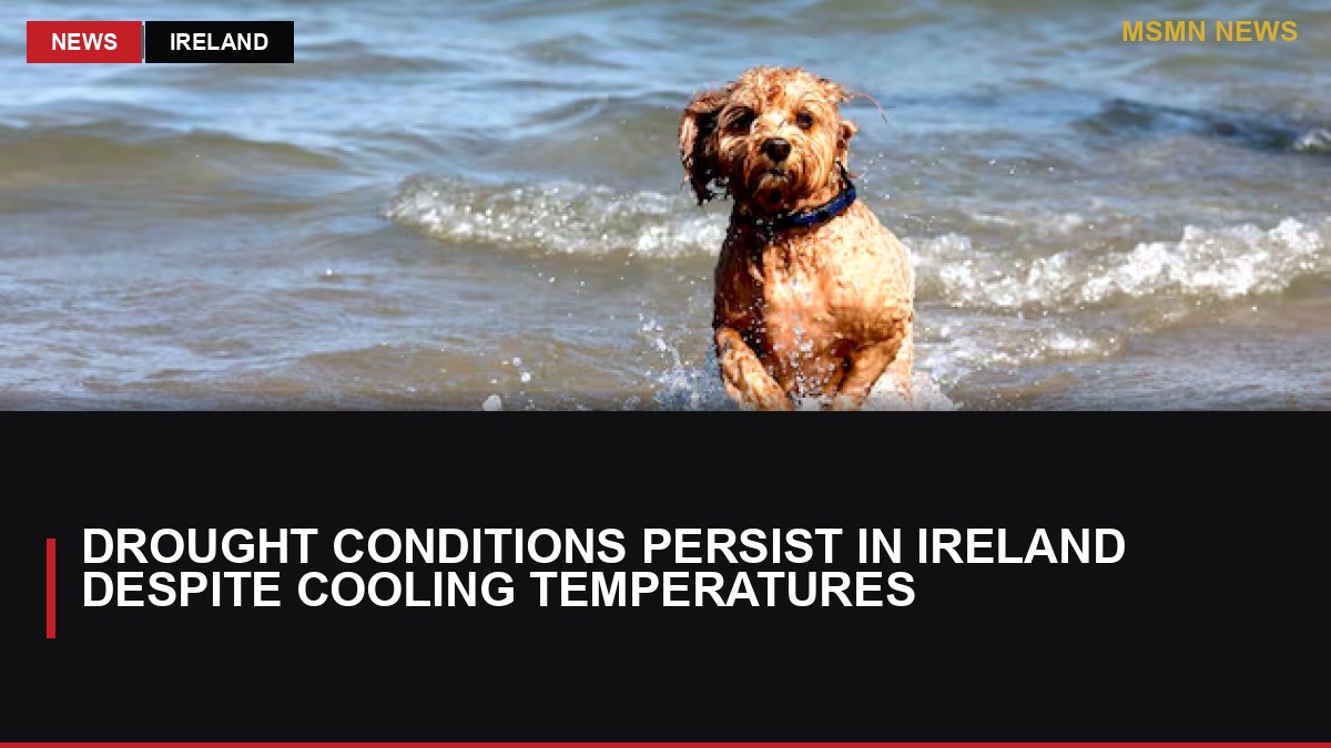 Drought Conditions Persist in Ireland Despite Cooling Temperatures: MSMN News — image from Irish Times