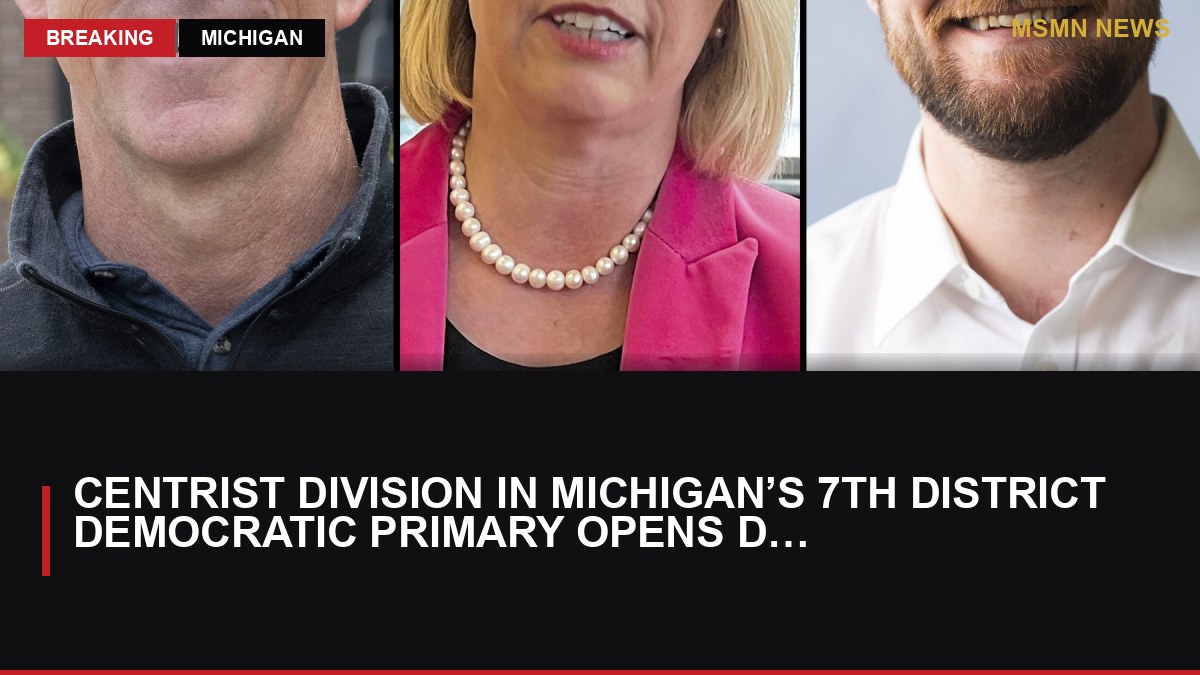 Centrist Division in Michigan’s 7th District Democratic Primary Opens Door for Progressives: MSMN News — image from NYT US