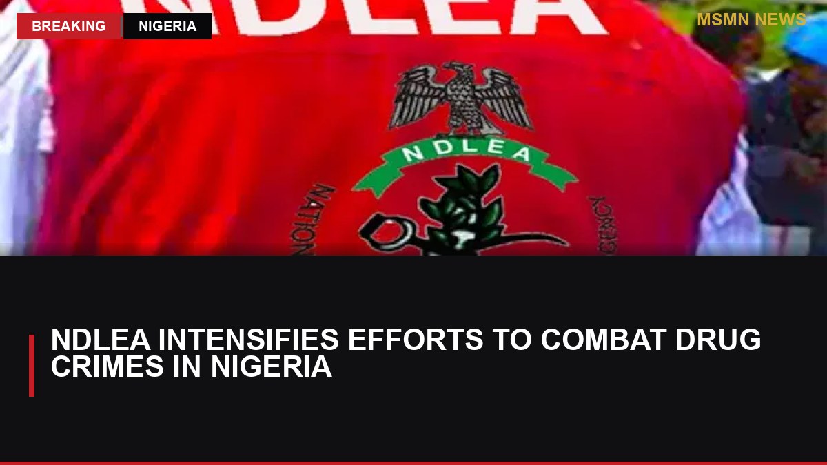 NDLEA Intensifies Efforts to Combat Drug Crimes in Nigeria: MSMN News — image from Vanguard Nigeria