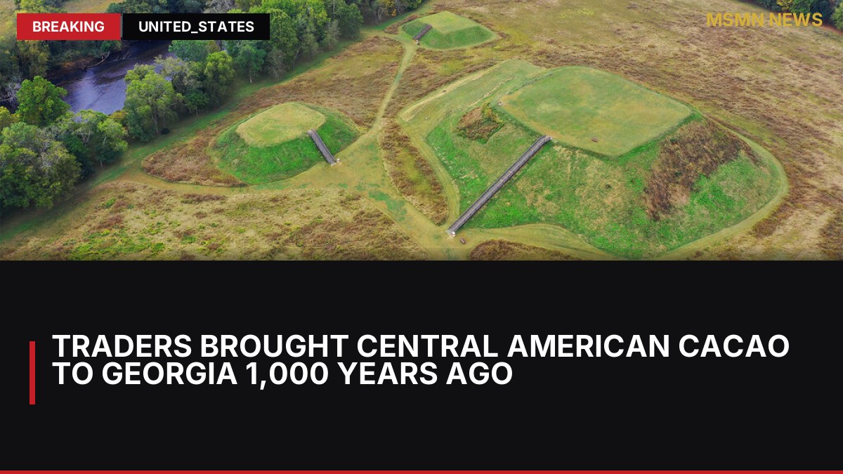 Traders brought Central American cacao to Georgia 1,000 years ago: MSMN News — image from Ars Technica