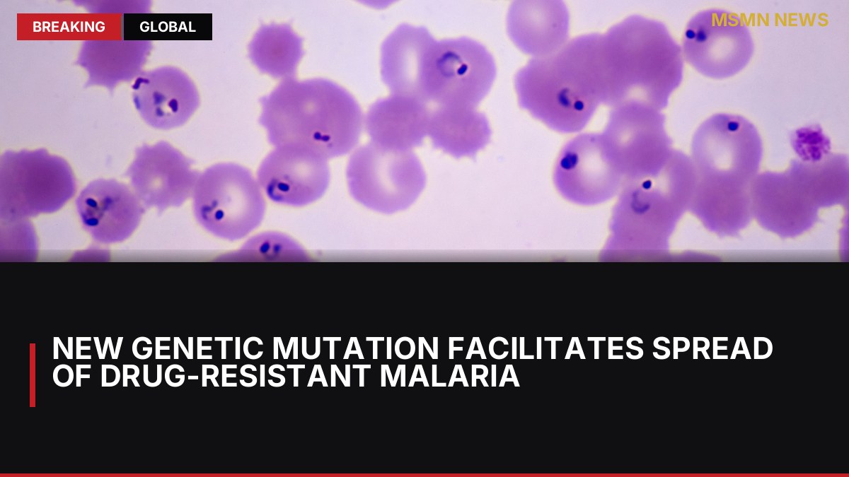 New Genetic Mutation Facilitates Spread of Drug-Resistant Malaria: MSMN News — image from Wired