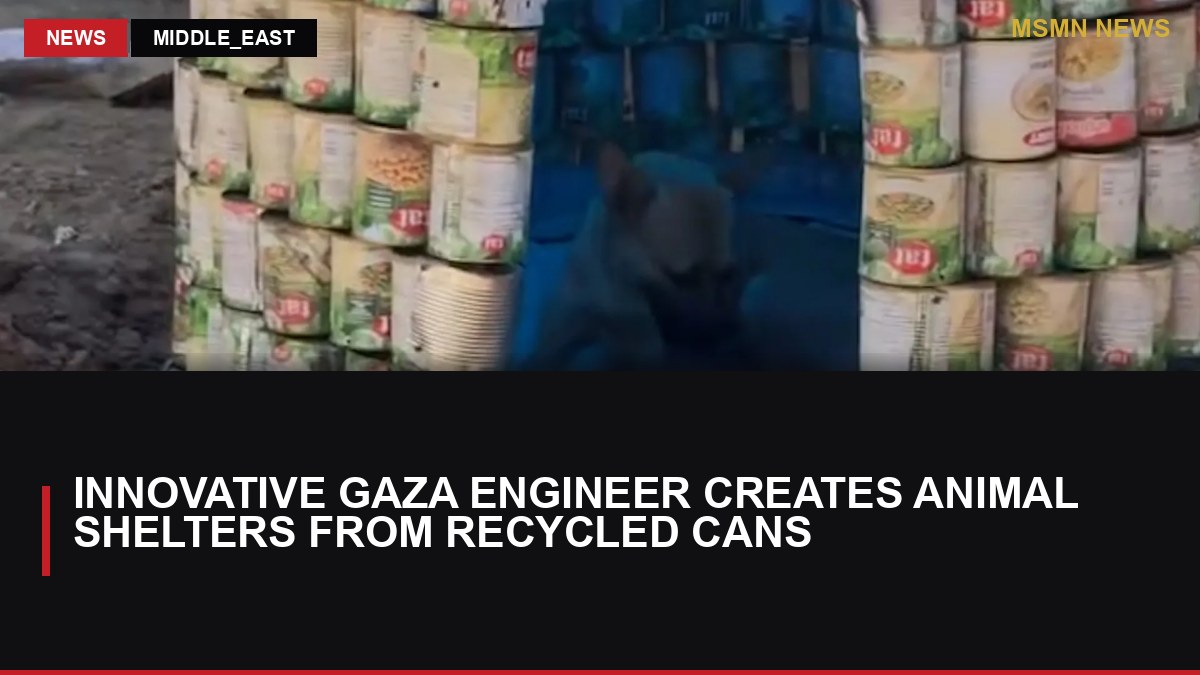 Innovative Gaza Engineer Creates Animal Shelters from Recycled Cans: MSMN News — image from Al Jazeera English