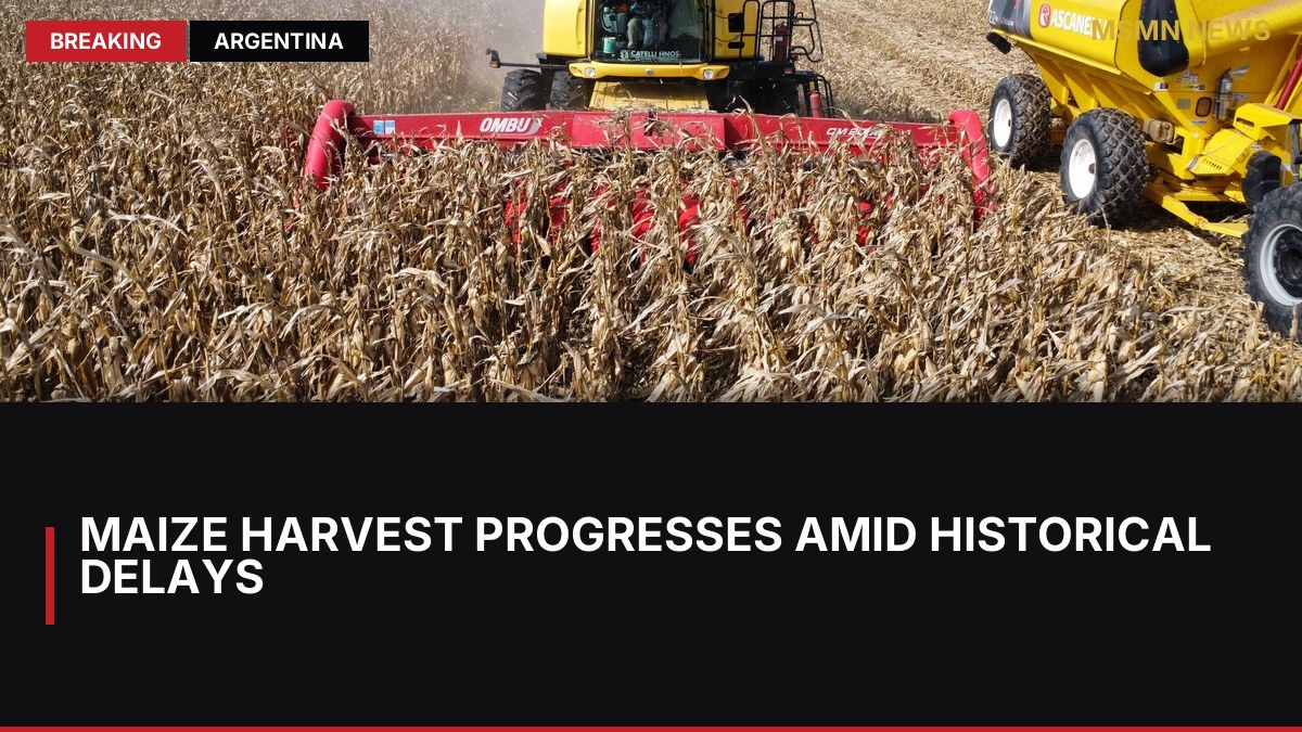 Maize Harvest Progresses Amid Historical Delays: MSMN News — image from Clarin Argentina