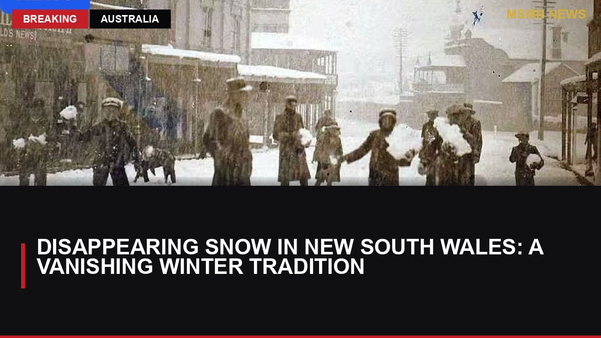 Disappearing Snow in New South Wales: A Vanishing Winter Tradition: MSMN News — image from ABC Australia