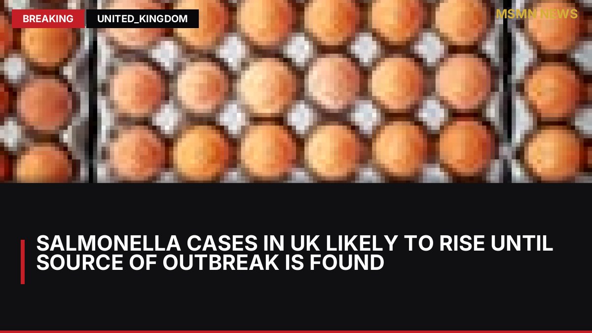 Salmonella cases in UK likely to rise until source of outbreak is found: MSMN News — image from Guardian UK