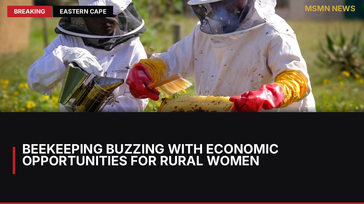 Beekeeping Buzzing with Economic Opportunities for Rural Women: MSMN News — image from Daily Maverick SA