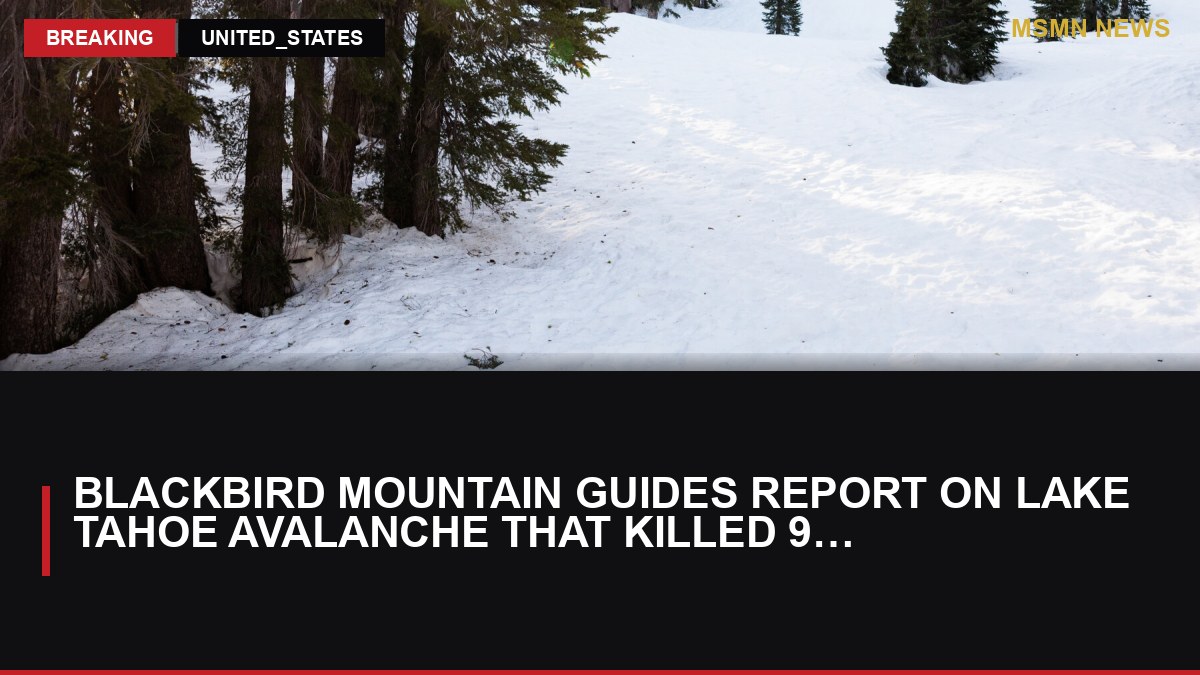 Blackbird Mountain Guides Report on Lake Tahoe Avalanche That Killed 9 Skiers Assigns No Blame: MSMN News — image from NYT US