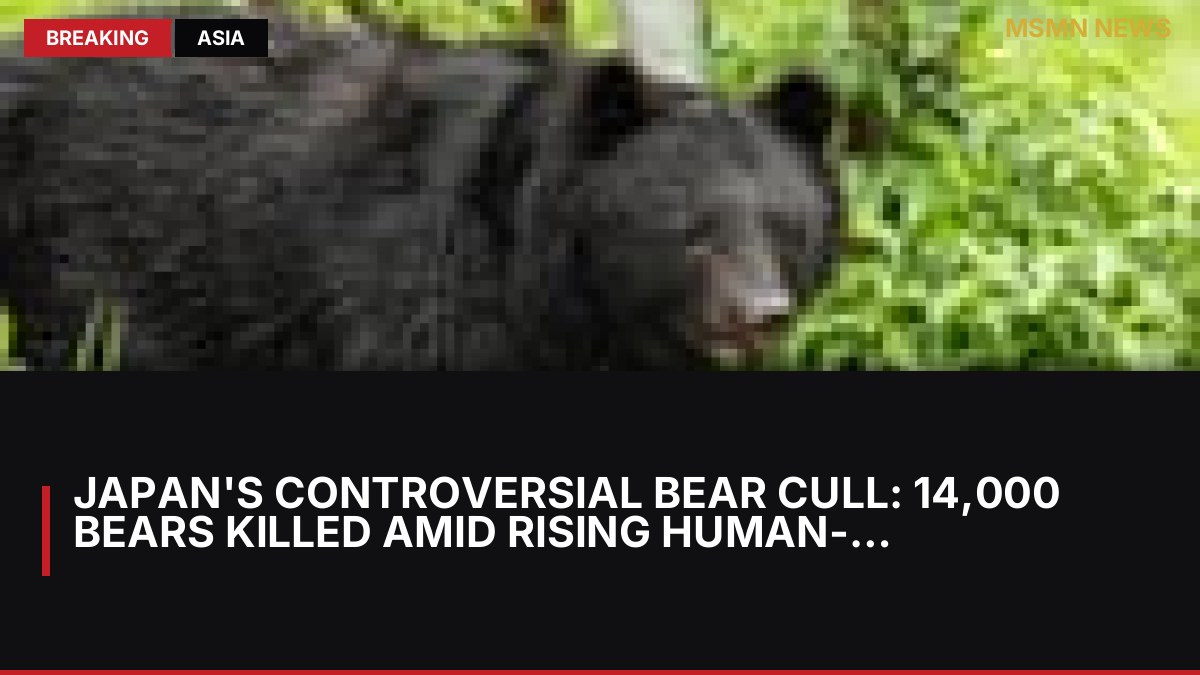 Japan's Controversial Bear Cull: 14,000 Bears Killed Amid Rising Human-Wildlife Conflicts: MSMN News — image from Guardian UK