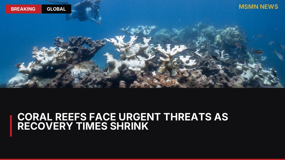 Coral Reefs Face Urgent Threats as Recovery Times Shrink: MSMN News — image from NYT World