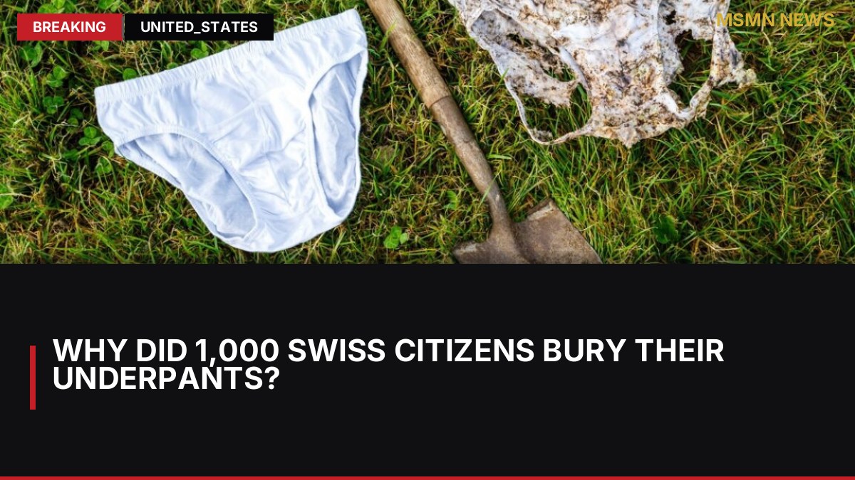 Why did 1,000 Swiss citizens bury their underpants?: MSMN News — image from Ars Technica