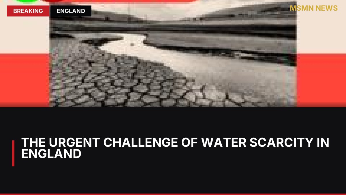 The Urgent Challenge of Water Scarcity in England: MSMN News — image from BBC UK