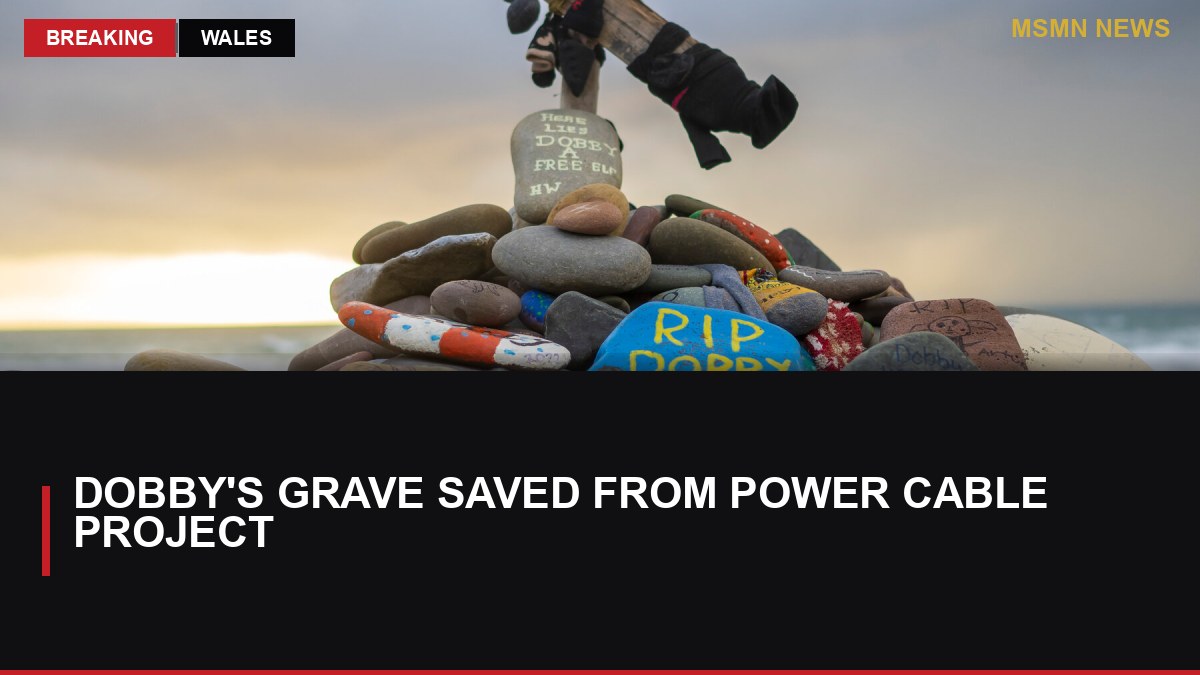 Dobby's Grave Saved from Power Cable Project: MSMN News — image from NYT World