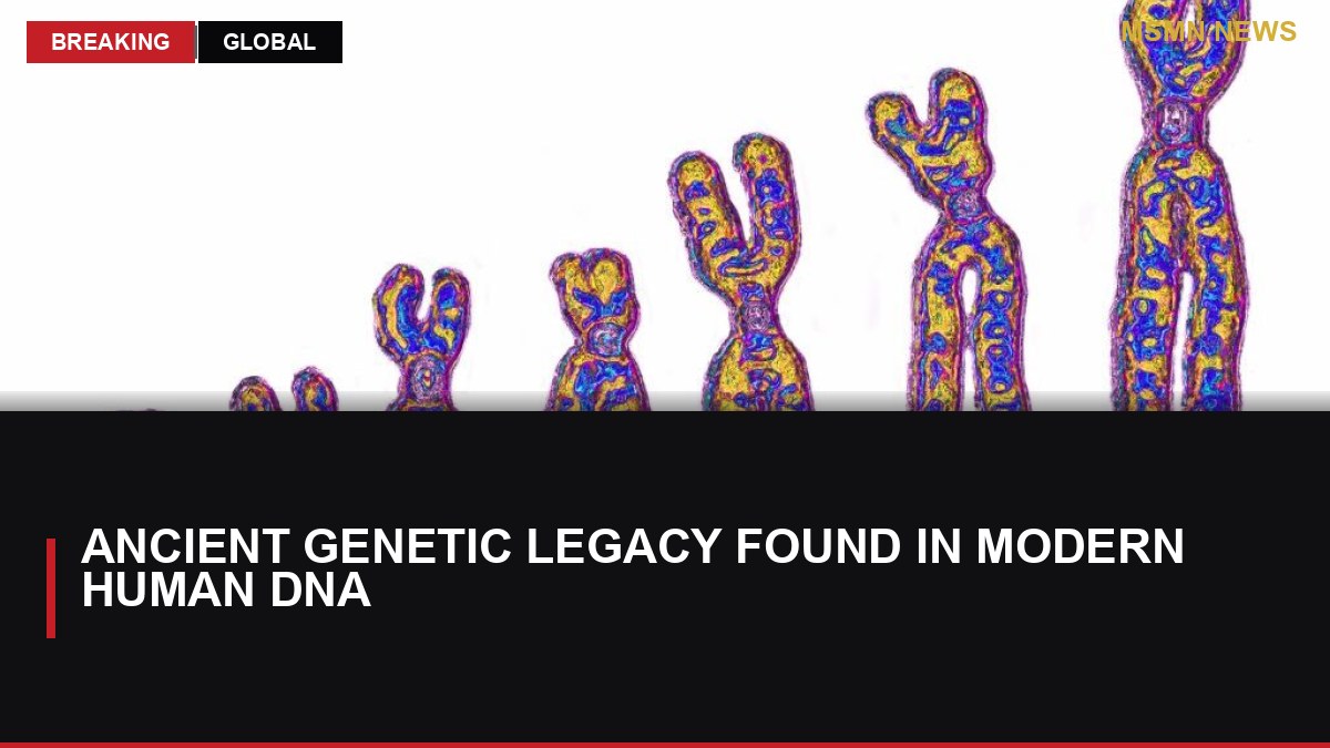 Ancient Genetic Legacy Found in Modern Human DNA: MSMN News — image from Ars Technica