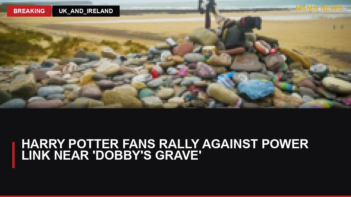 Harry Potter Fans Rally Against Power Link Near 'Dobby's Grave': MSMN News — image from BBC UK