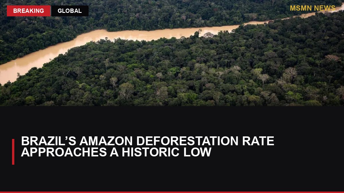 Brazil’s Amazon deforestation rate approaches a historic low: MSMN News — image from Straits Times World