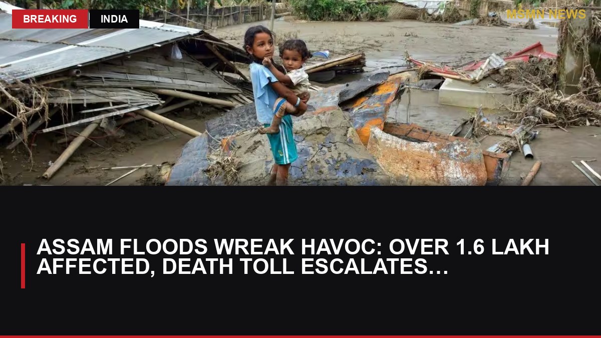 Assam Floods Wreak Havoc: Over 1.6 Lakh Affected, Death Toll Escalates to 95: MSMN News — image from Times of India