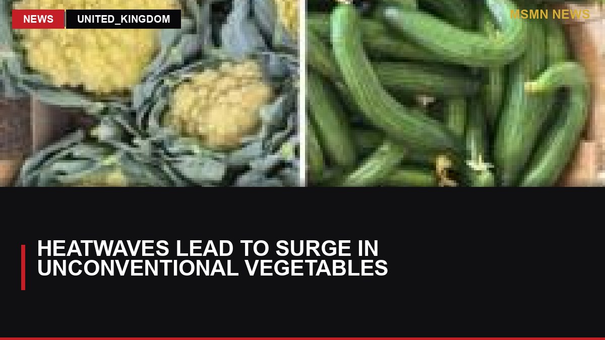 Heatwaves Lead to Surge in Unconventional Vegetables: MSMN News — image from BBC Business