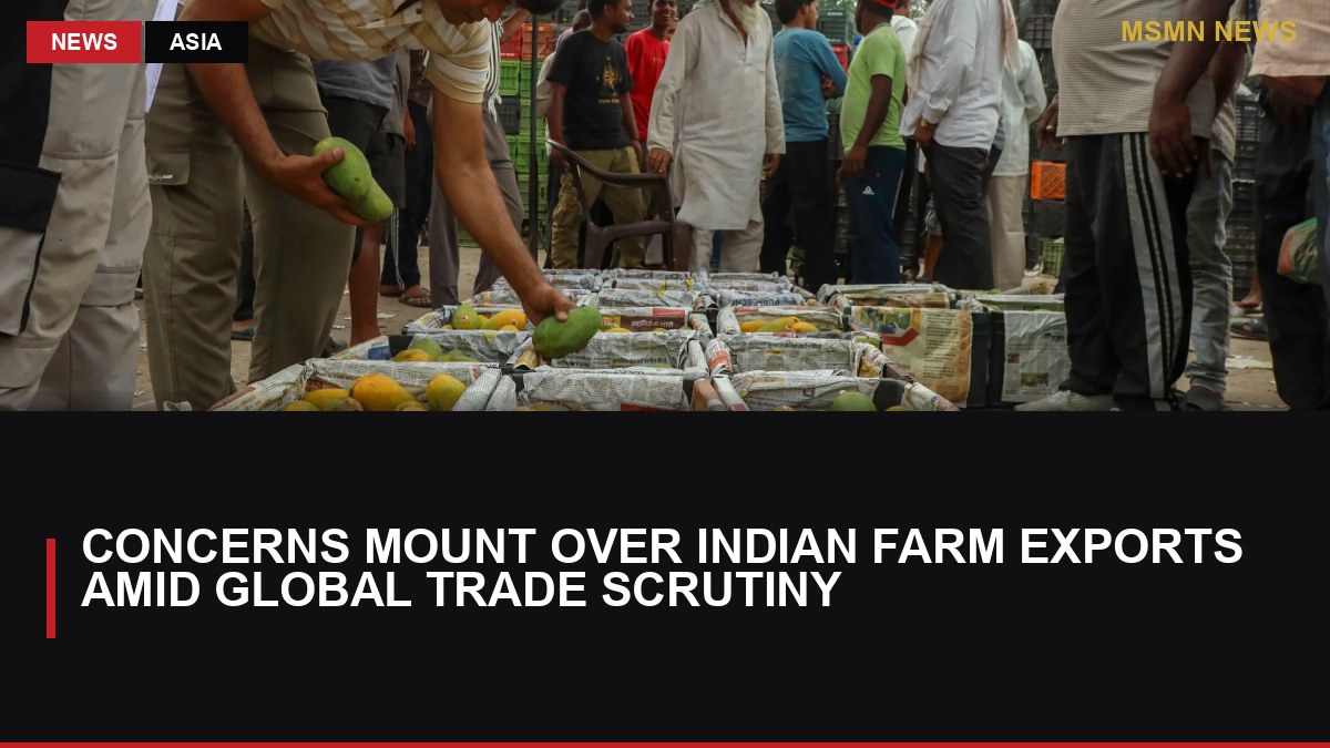Concerns Mount Over Indian Farm Exports Amid Global Trade Scrutiny: MSMN News — image from Al Jazeera English