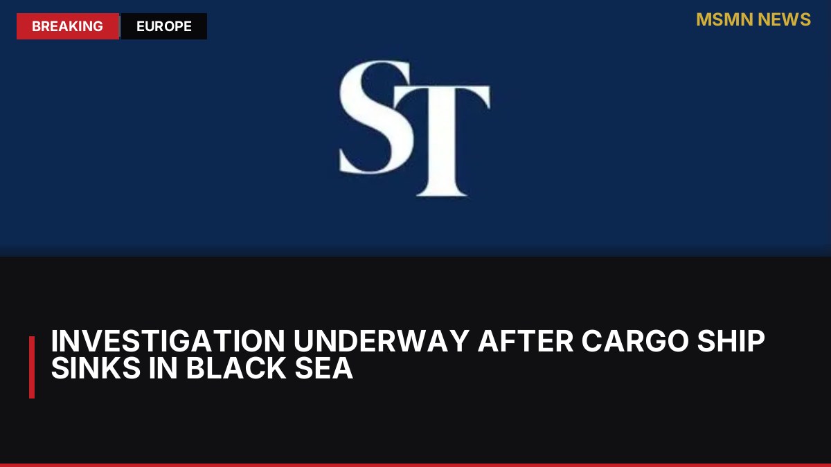 Investigation Underway After Cargo Ship Sinks in Black Sea: MSMN News — image from Straits Times World