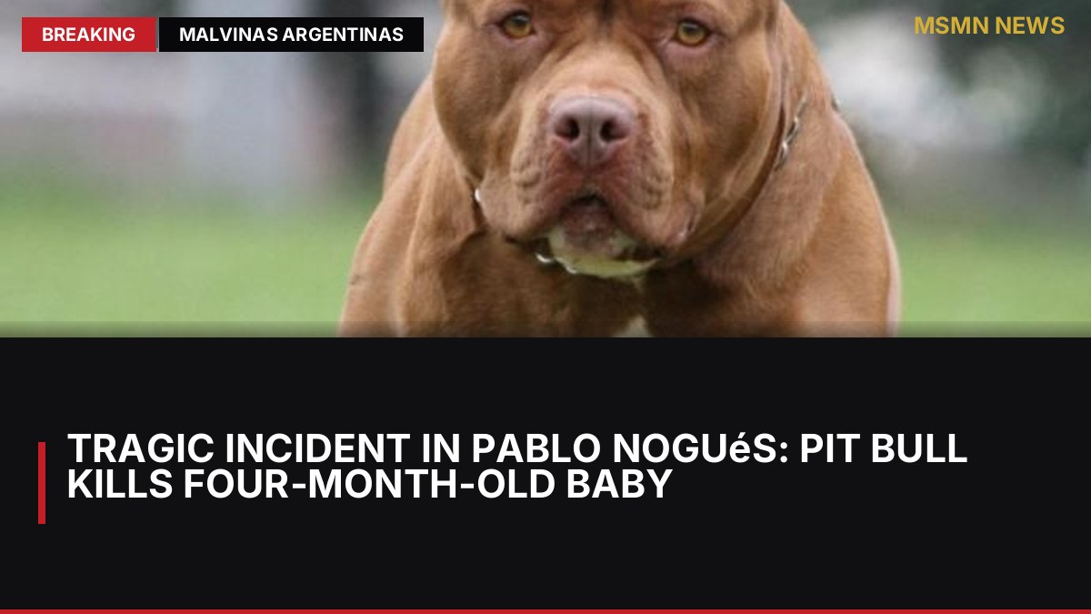 Tragic Incident in Pablo Nogués: Pit Bull Kills Four-Month-Old Baby: MSMN News — image from Clarin Argentina