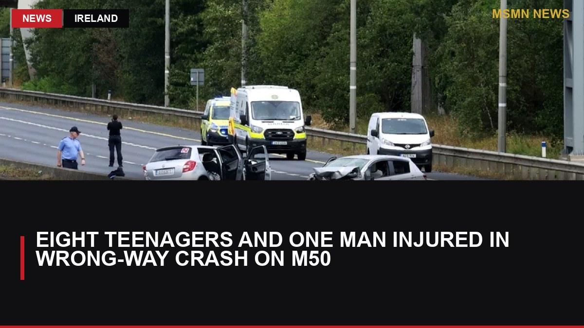 Eight Teenagers and One Man Injured in Wrong-Way Crash on M50: MSMN News — image from RTE News