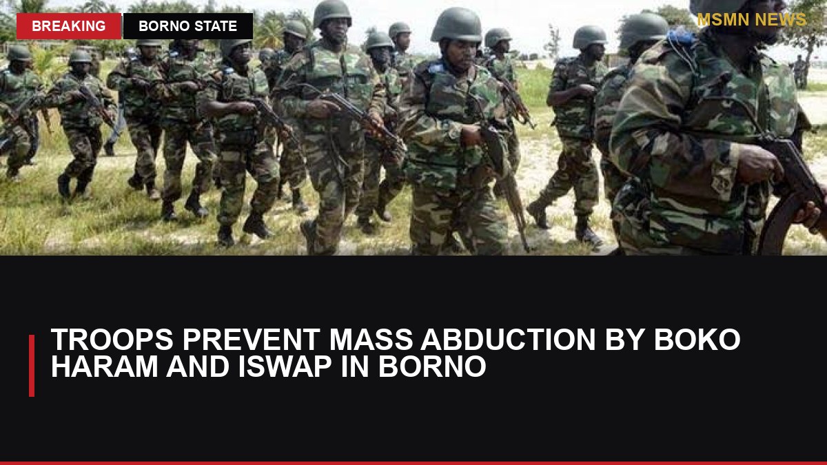 Troops Prevent Mass Abduction by Boko Haram and ISWAP in Borno: MSMN News — image from Daily Post Nigeria