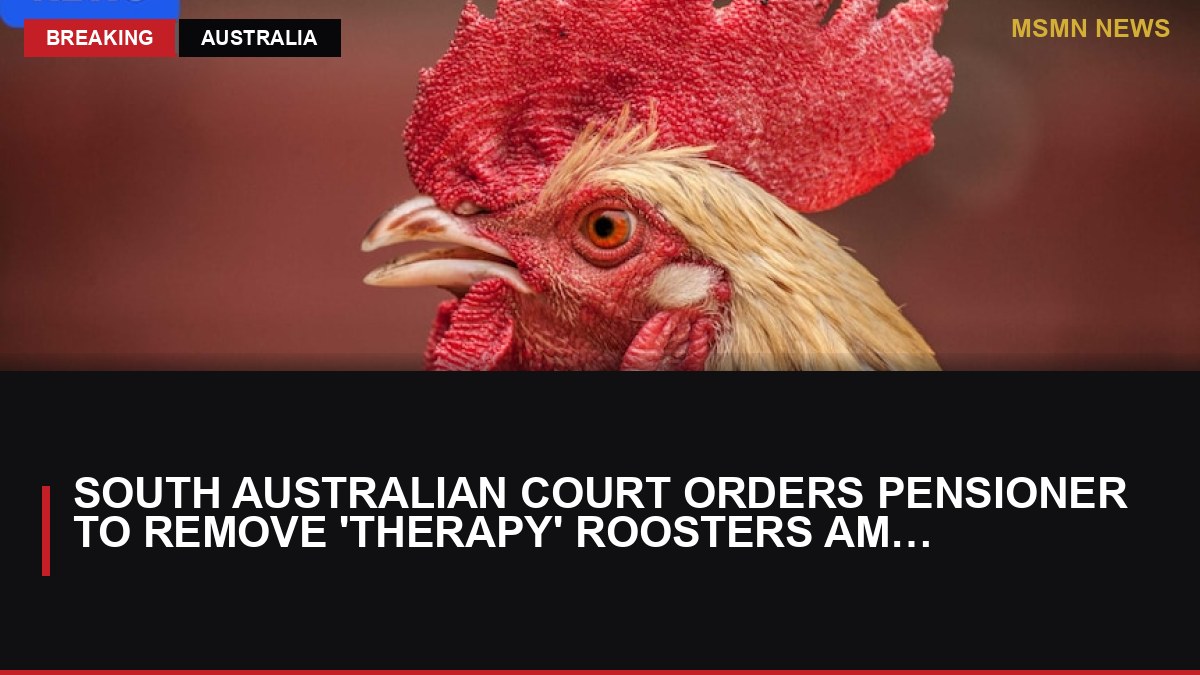South Australian Court Orders Pensioner to Remove 'Therapy' Roosters Amid Noise Complaints: MSMN News — image from ABC Australia