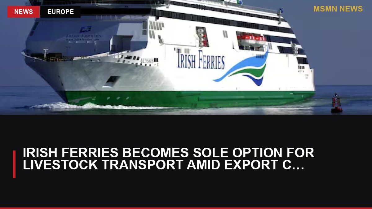 Irish Ferries Becomes Sole Option for Livestock Transport Amid Export Changes: MSMN News — image from Irish Times