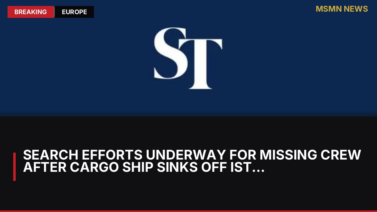Search Efforts Underway for Missing Crew After Cargo Ship Sinks Off Istanbul: MSMN News — image from Straits Times World