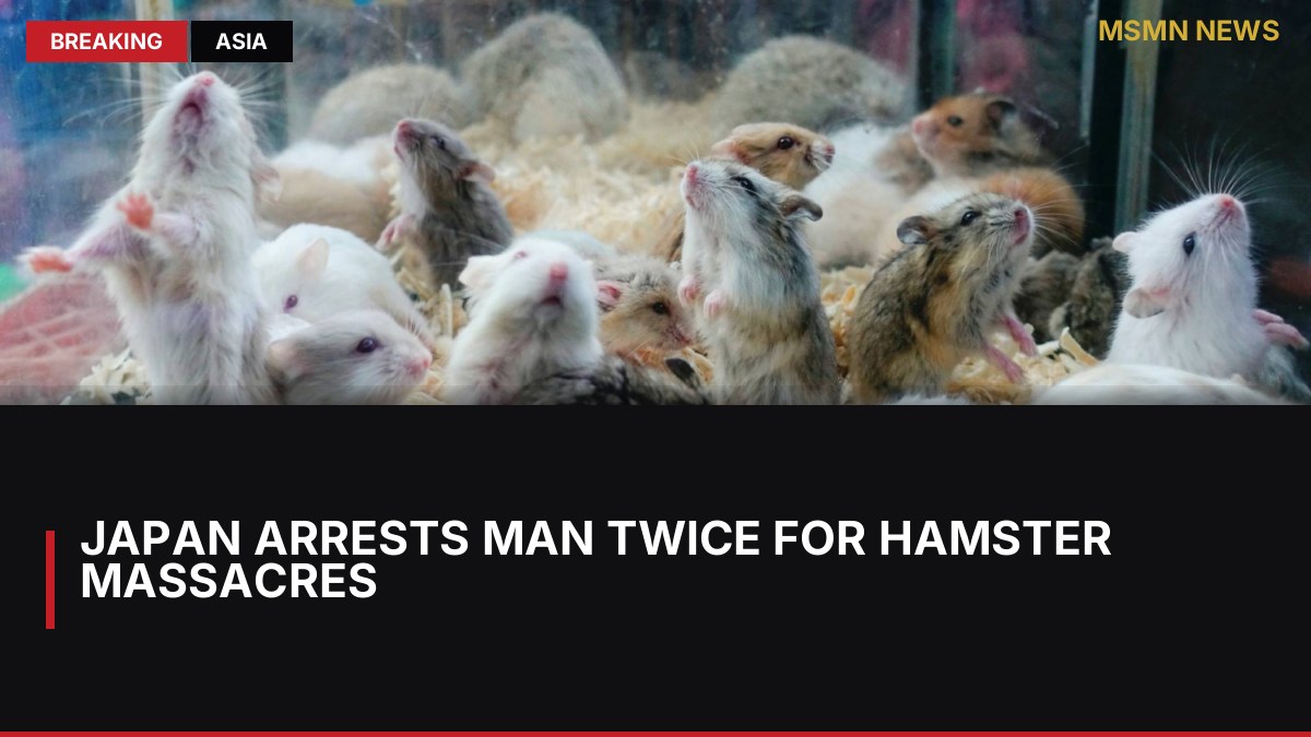 Japan Arrests Man Twice for Hamster Massacres: MSMN News — image from Japan Times