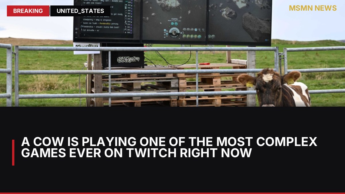 A Cow Is Playing One Of The Most Complex Games Ever On Twitch Right Now: MSMN News — image from Kotaku