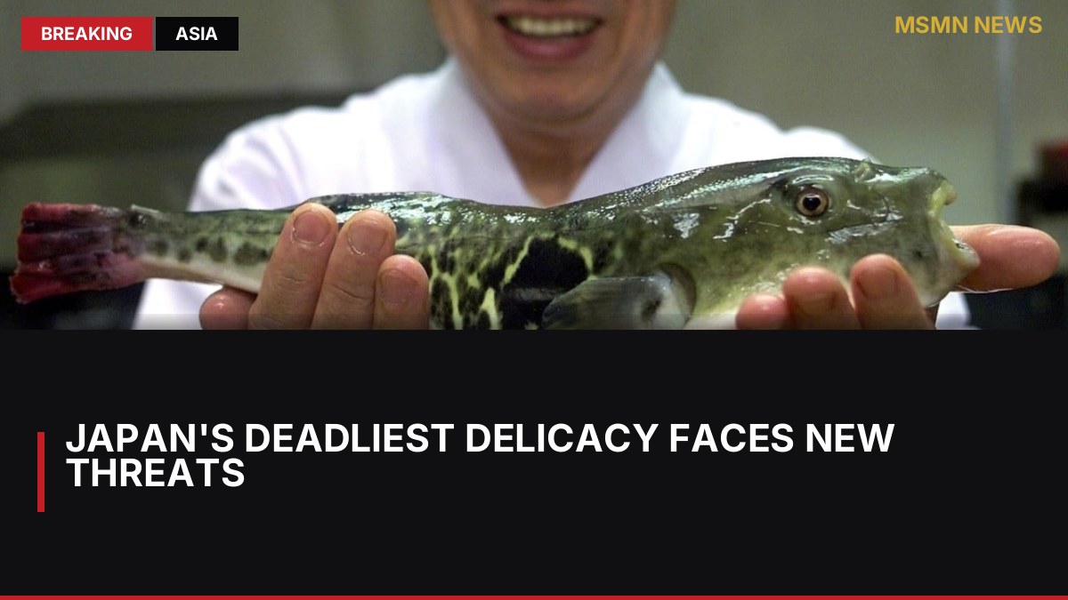 Japan's Deadliest Delicacy Faces New Threats: MSMN News — image from SCMP China