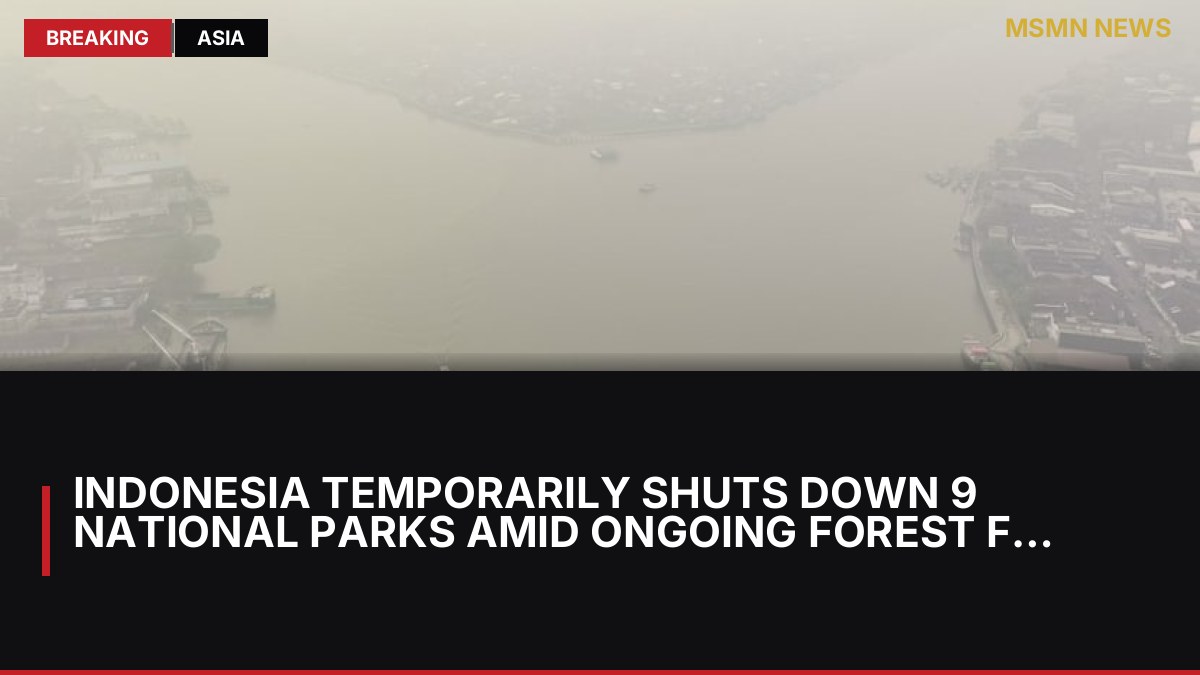 Indonesia Temporarily Shuts Down 9 National Parks Amid Ongoing Forest Fires: MSMN News — image from Channel News Asia
