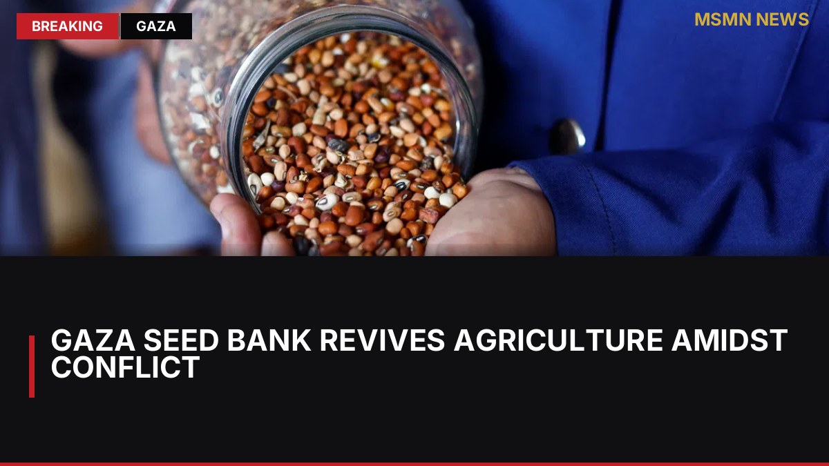 Gaza Seed Bank Revives Agriculture Amidst Conflict: MSMN News — image from Straits Times World