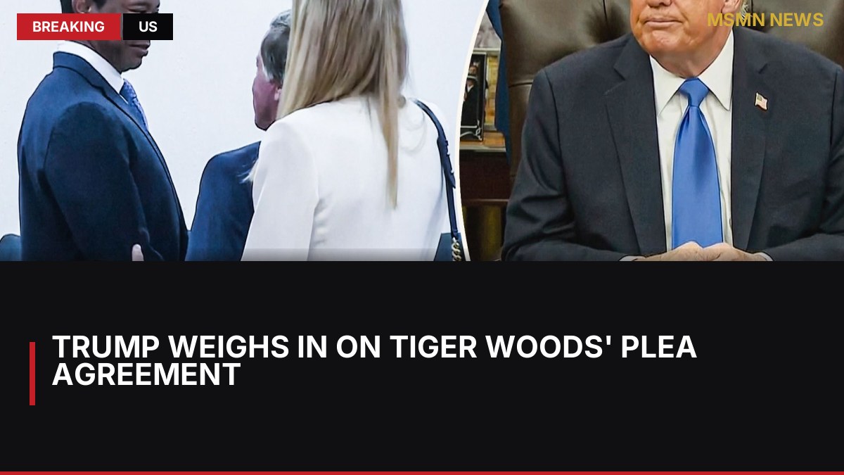 Trump Weighs in on Tiger Woods' Plea Agreement: MSMN News — image from Sky Sports